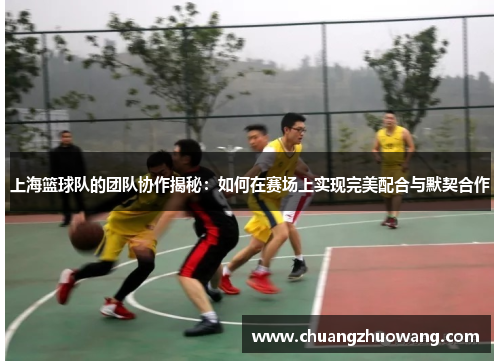 上海篮球队的团队协作揭秘：如何在赛场上实现完美配合与默契合作